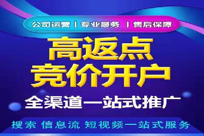 百度推广的投放策略与效果分析